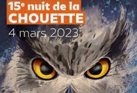 chouette Entre mots et mouvements