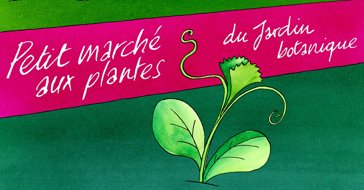 Petit marchés aux plantes Le monde l'illustration
